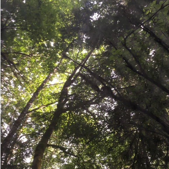 Meet your Posher, S - Picture 1 of 1